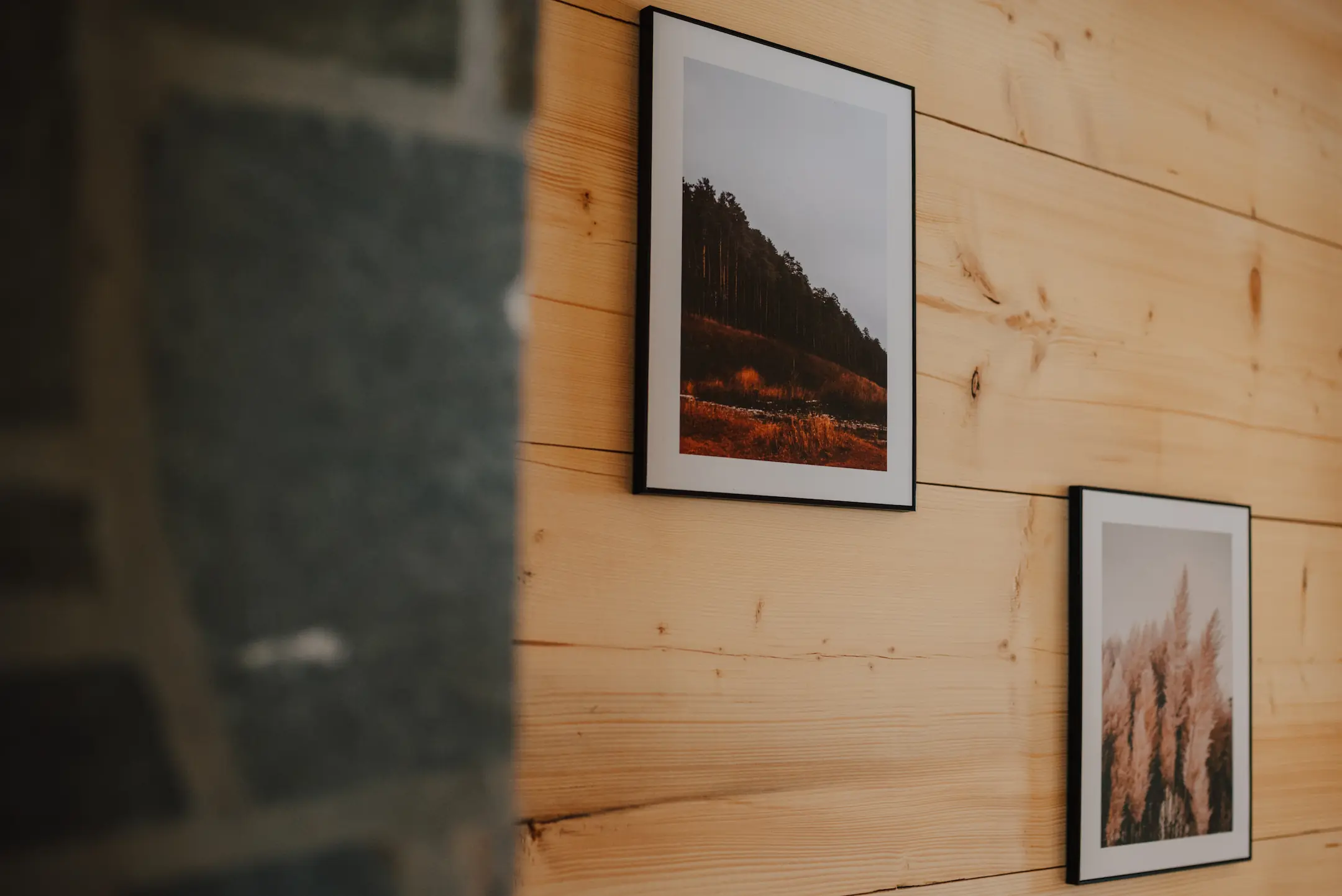 Zdjęcie boku domku dziki raj