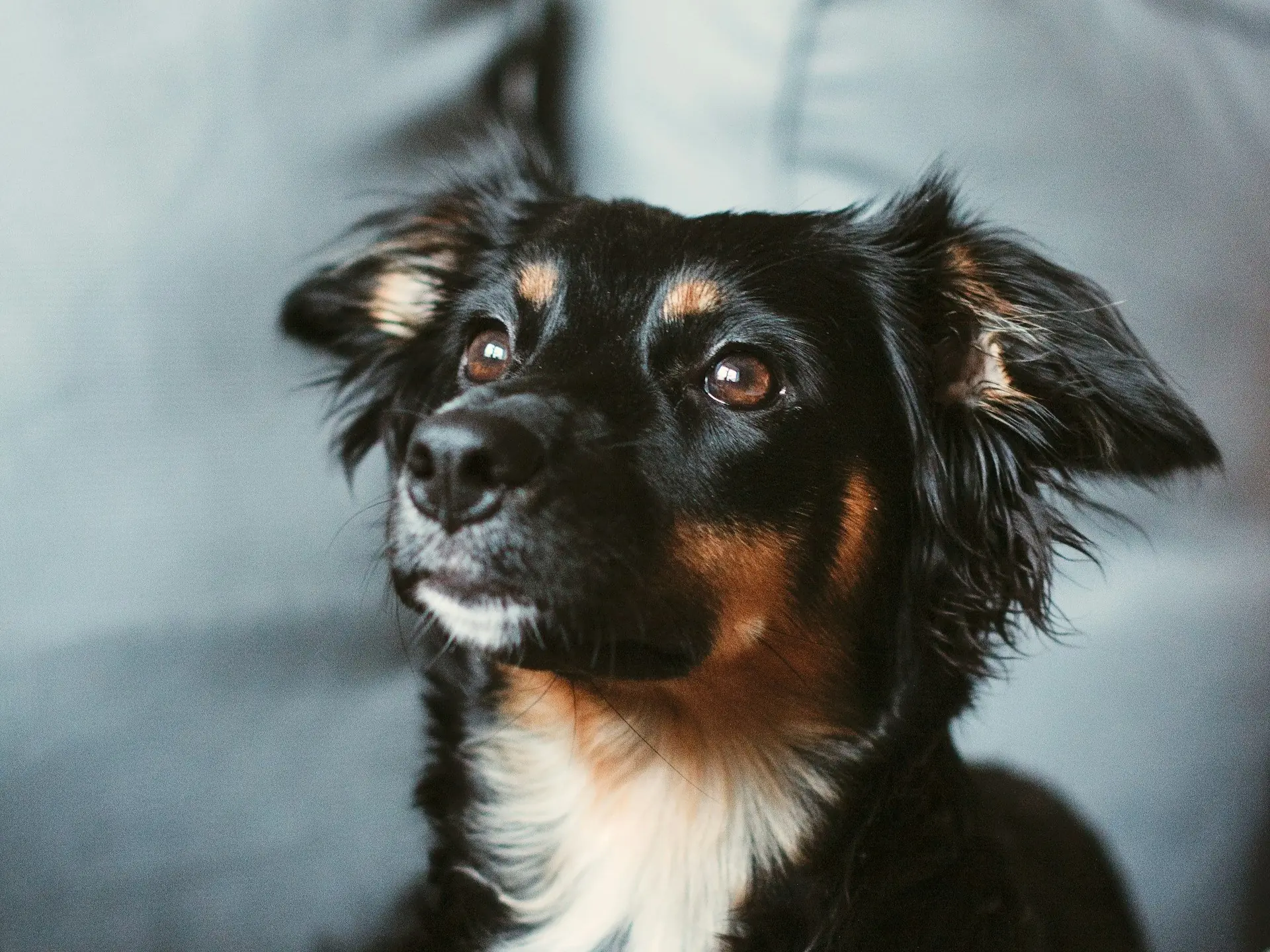 Zdjęcie boku domku dziki raj